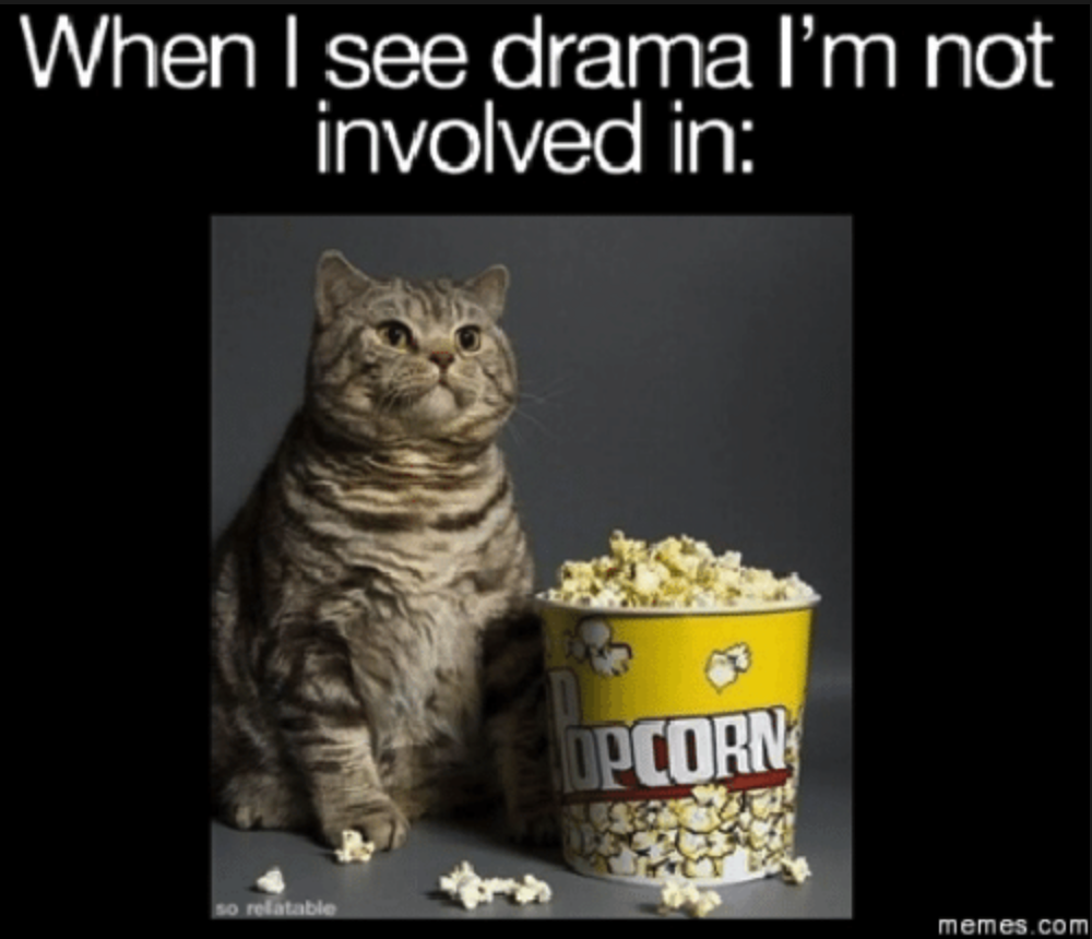 cat with popcorn meme, lies, drama