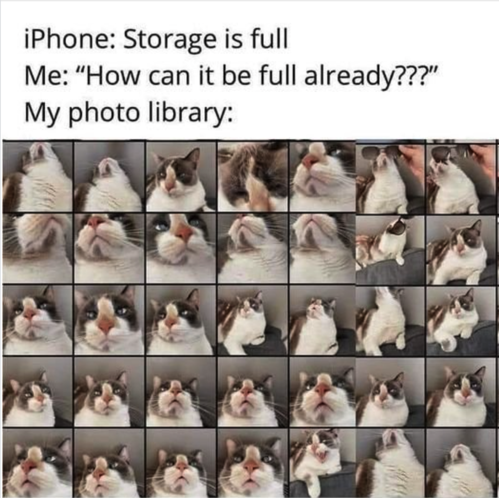 cat meme iPhone storage, autism, Spectrum, Neurodivergent, autistic spectrum