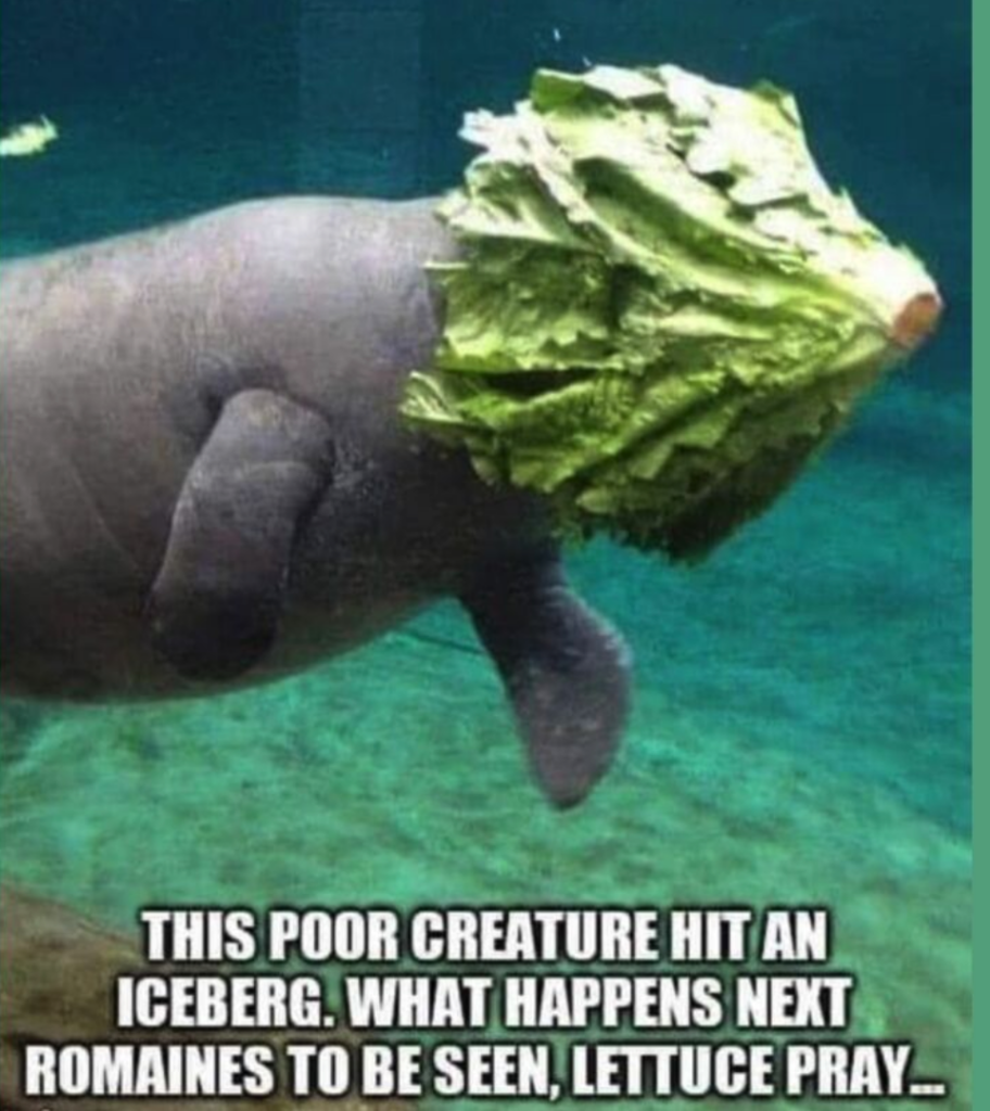 meme, funny, manatee, prologue, prologue that doesn't match story