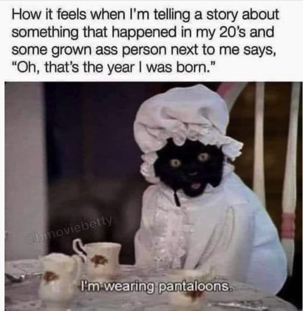 cat meme, bloomers, aging, perspective