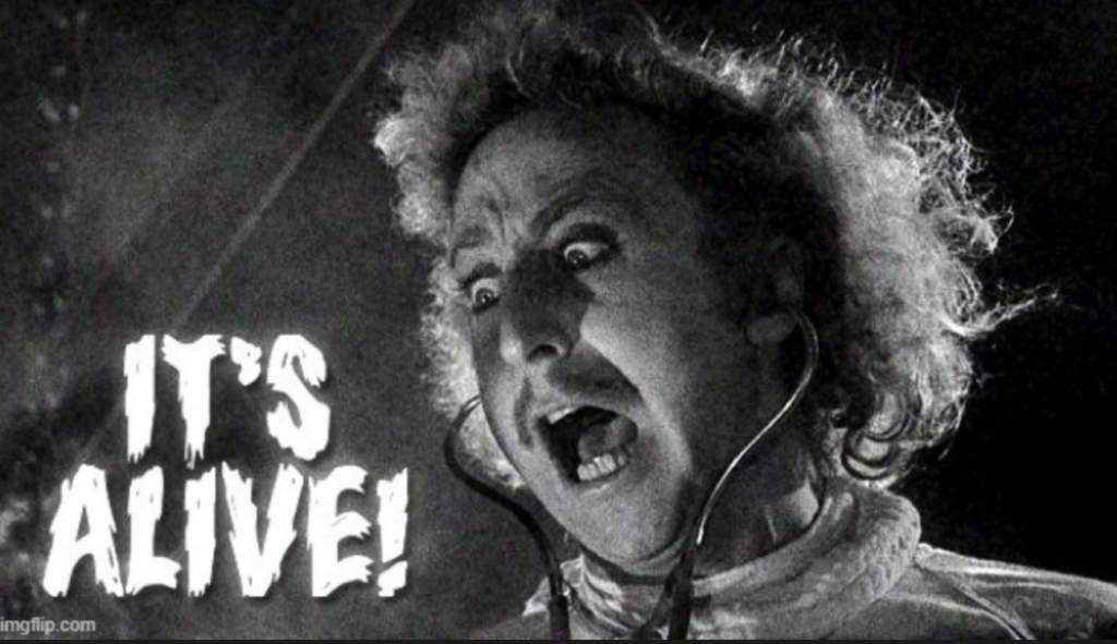 Young Frankenstein, meme, book reviews