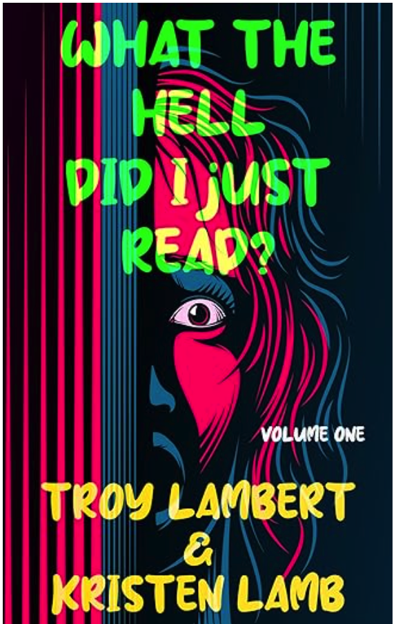 What the Hell Did I Just Read, Kristen Lamb, Troy Lambert, horror, noir