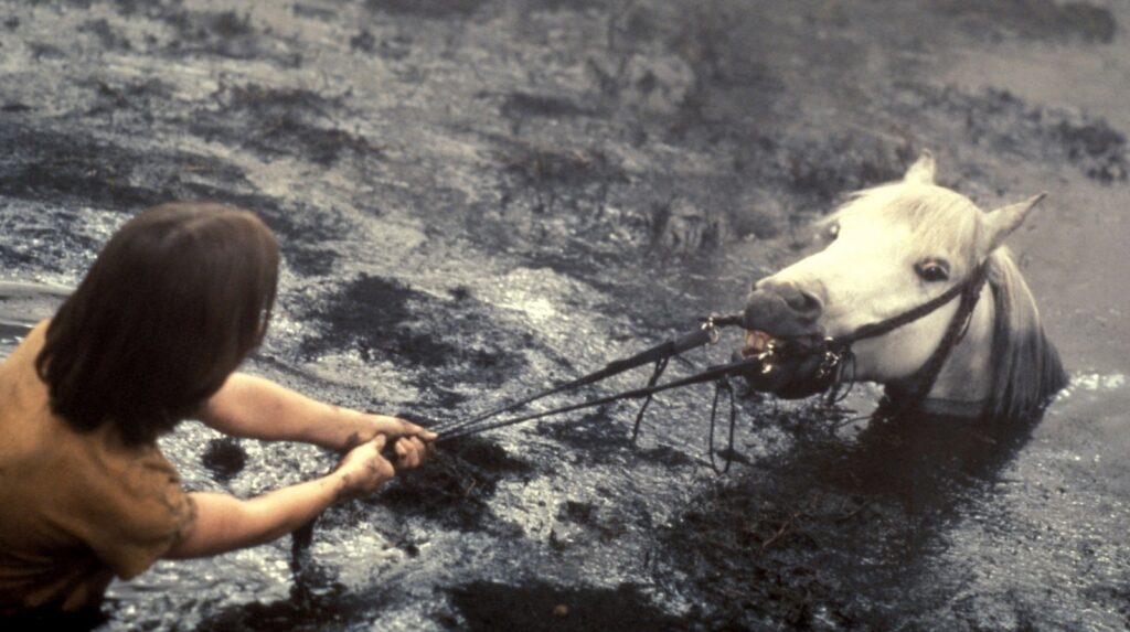 The NeverEnding Story, Artax, Swamp of Sadness